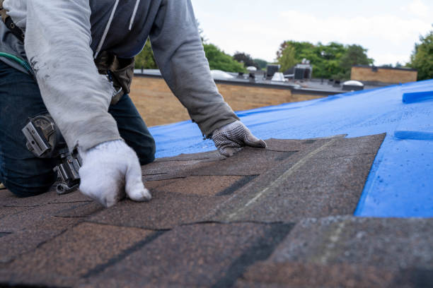 Best Green or Eco-Friendly Roofing Solutions  in Prosperity, WV